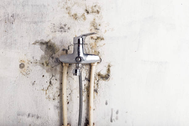 Best Water Damage Restoration  in Tye, TX