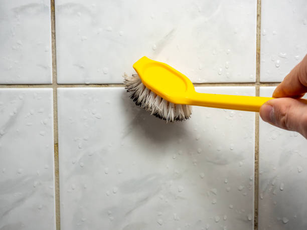 Mold Testing and Removal in Tye, TX