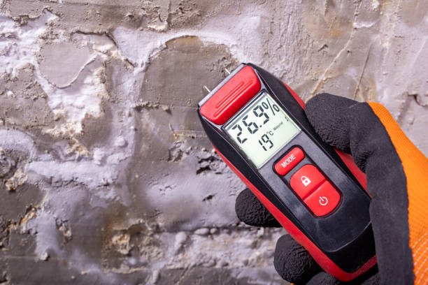 Best Commercial Mold Removal  in Tye, TX