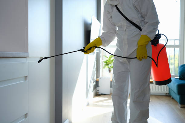 Attic Mold Removal in Tye, TX